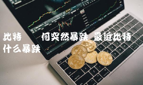 包含比特币暴跌近20%背后发生了什么的词条