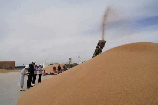 400吨储备粮神秘消失:(粮食埋在地下能存储多少年)