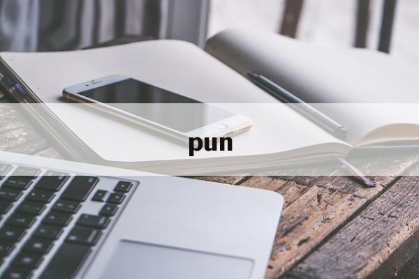 pun:(pun拼音的汉字)