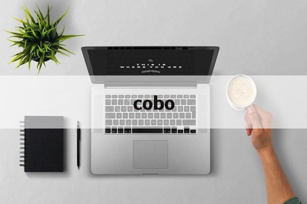 cobo:(意大利COBO公司简介)