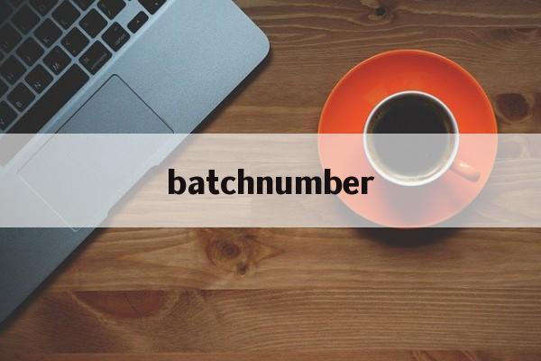 batchnumber:(BATCH后面的日期怎么看)