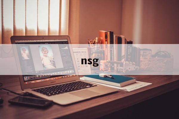 nsg:(ngs基因检测)